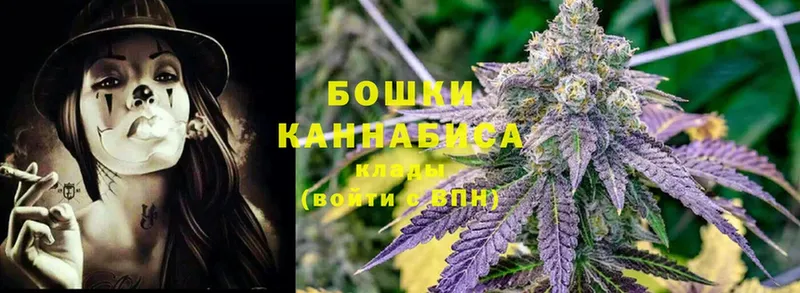 Шишки марихуана Bruce Banner  Светлоград 